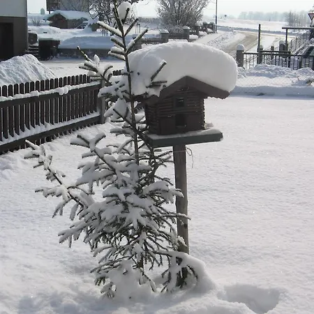 公寓 玛丽亚公寓 *