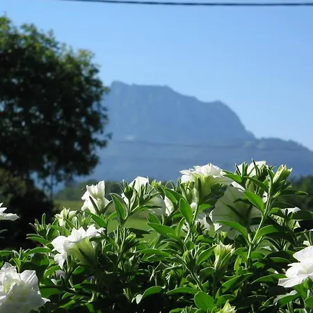 公寓 玛丽亚公寓